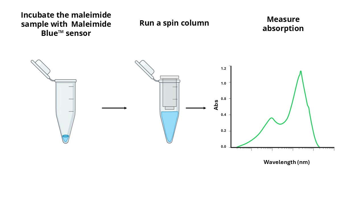 Amplite 马来酰亚胺快速定量试剂盒 比色法