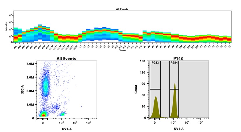 mFluor UV375琥珀酰亚胺酯