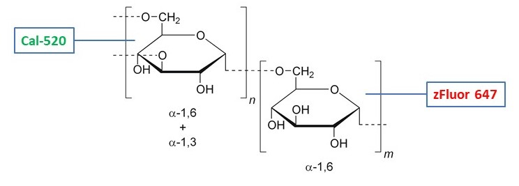 RatioWorks™ Cal-520®/zFluor 647™ -Dextran Conjugate *MW