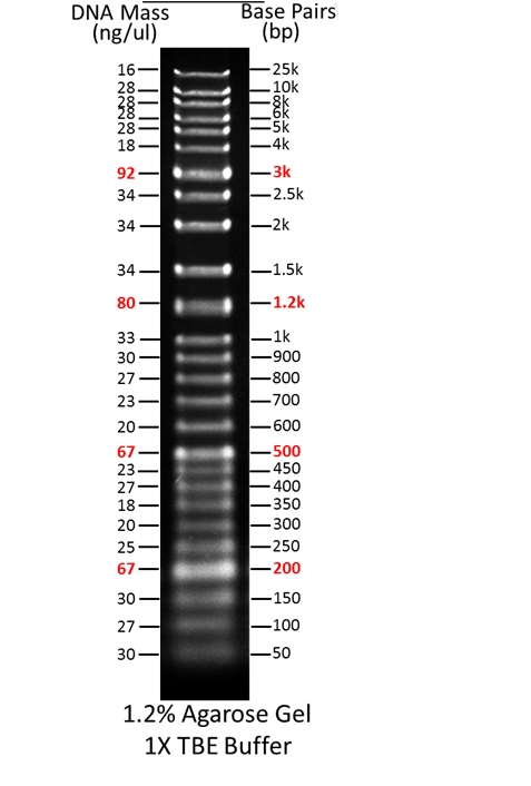 ReadiUse 1 Kb Plus DNA Ladder Scientist ReadiUse 1 Kb Plus DNA Ladder Scientist