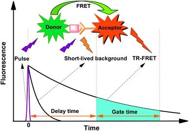 TR-FRET Mechanism