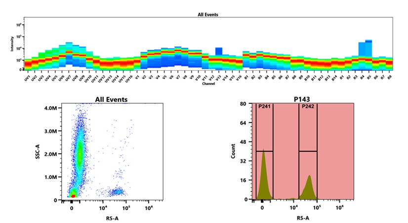XFD700 Anti-human CD3 Antibody *UCHT1* | AAT Bioquest