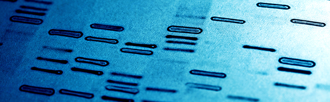 Nucleic Acid Detection & Quantification